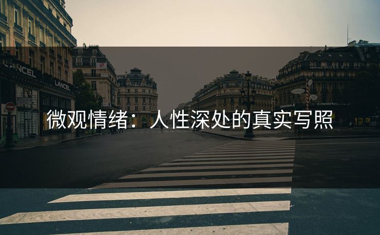 微观情绪：人性深处的真实写照